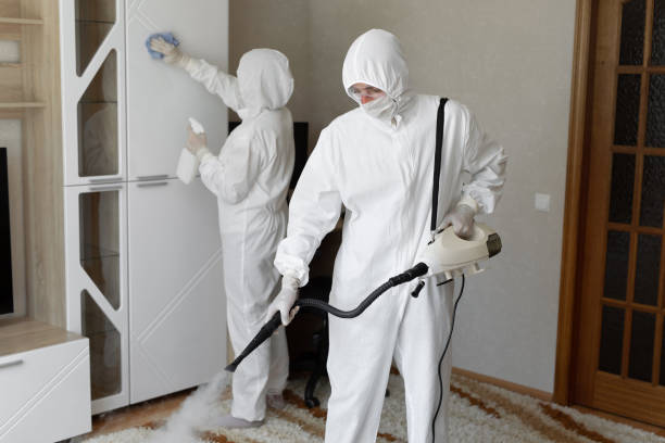 Best Residential Mold Removal  in Greentree, NJ