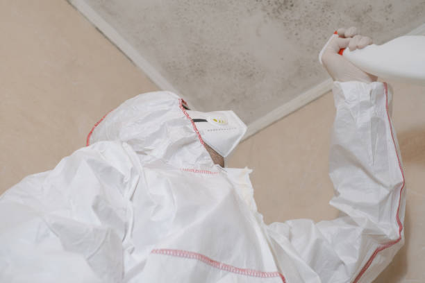 Best Office Mold Removal Services  in Greentree, NJ